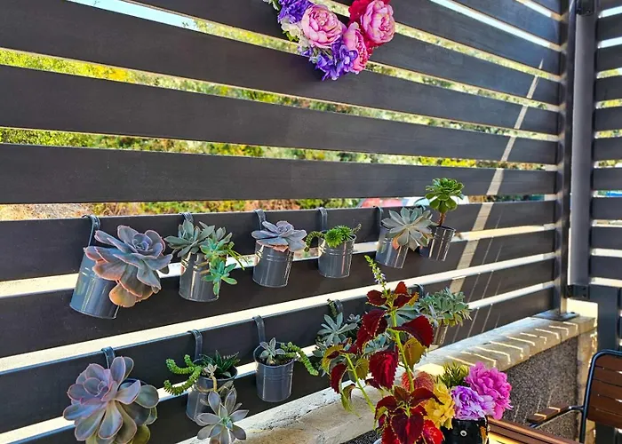 Maki I Mila Stinjan Apartament Pula